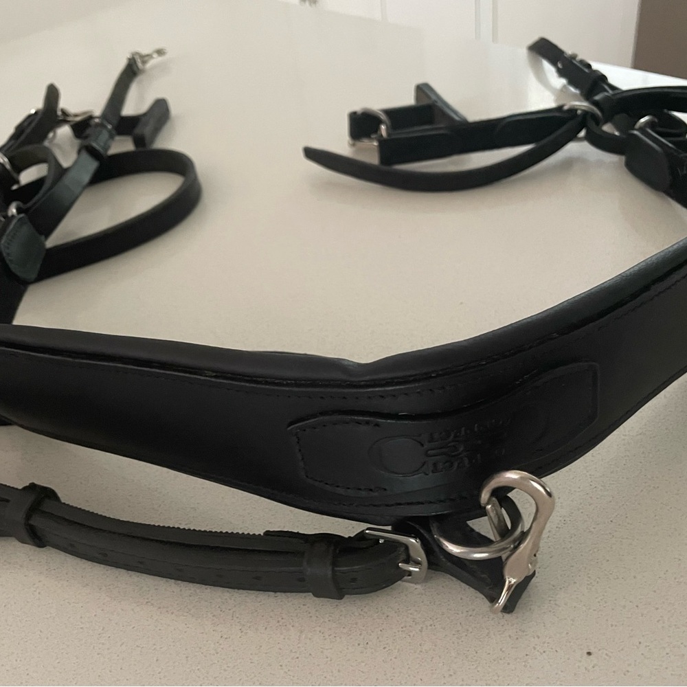 Correct Connect 3-1 Training Breastplate
